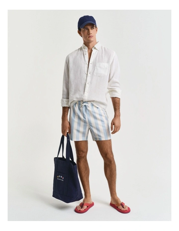 Block Stripe Swim Shorts in Fresh Blue image 4