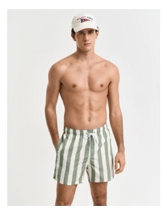 Block Stripe Swim Shorts in Kalamata Green