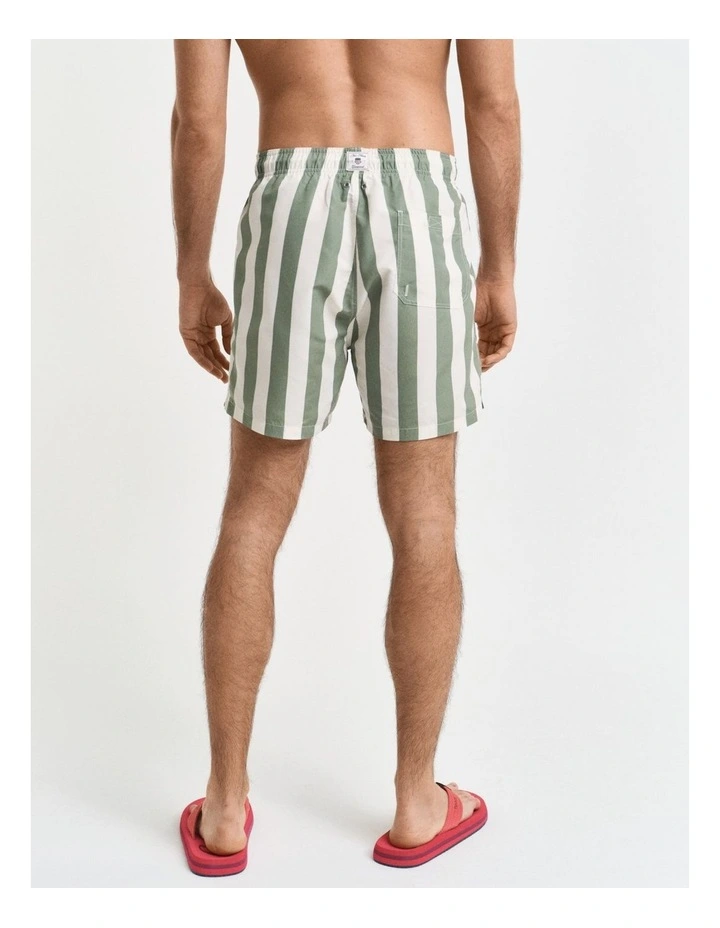 Block Stripe Swim Shorts in Kalamata Green image 2