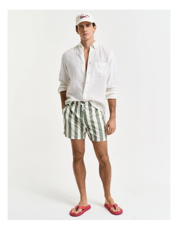 Block Stripe Swim Shorts in Kalamata Green image 3