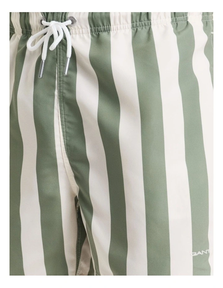 Block Stripe Swim Shorts in Kalamata Green image 4