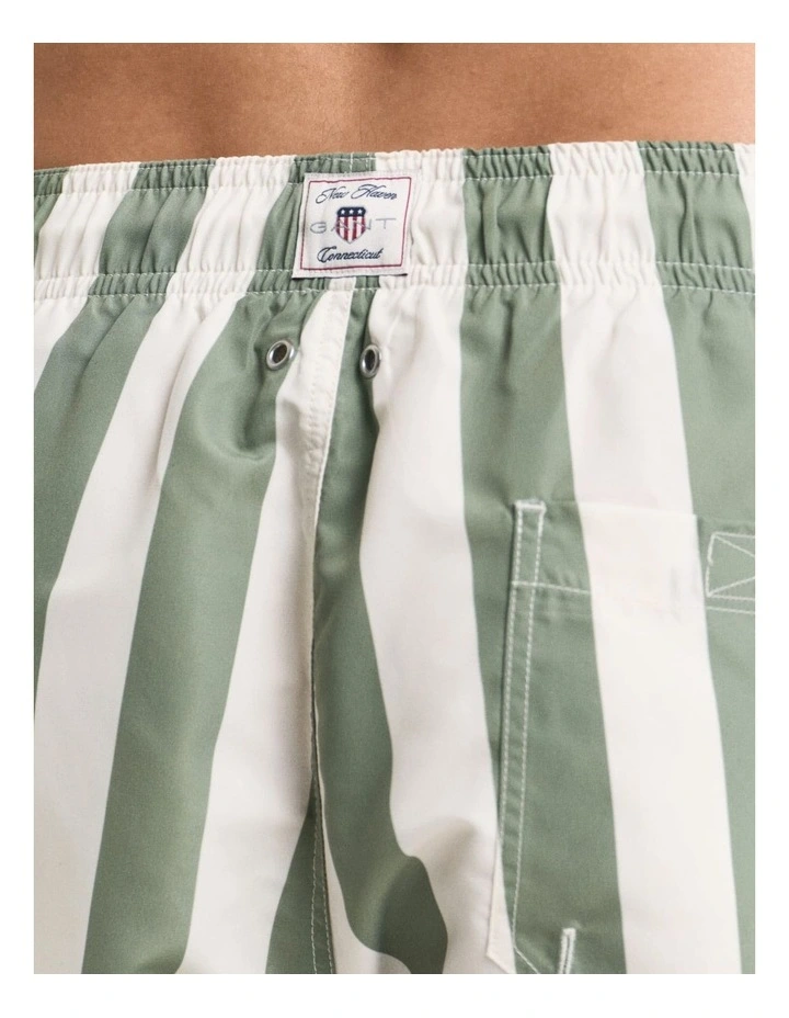 Block Stripe Swim Shorts in Kalamata Green image 5