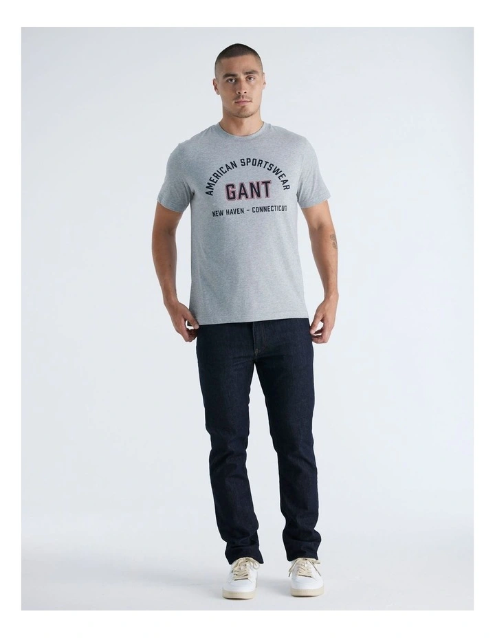 Printed Graphic T-Shirt in Grey Melange image 3