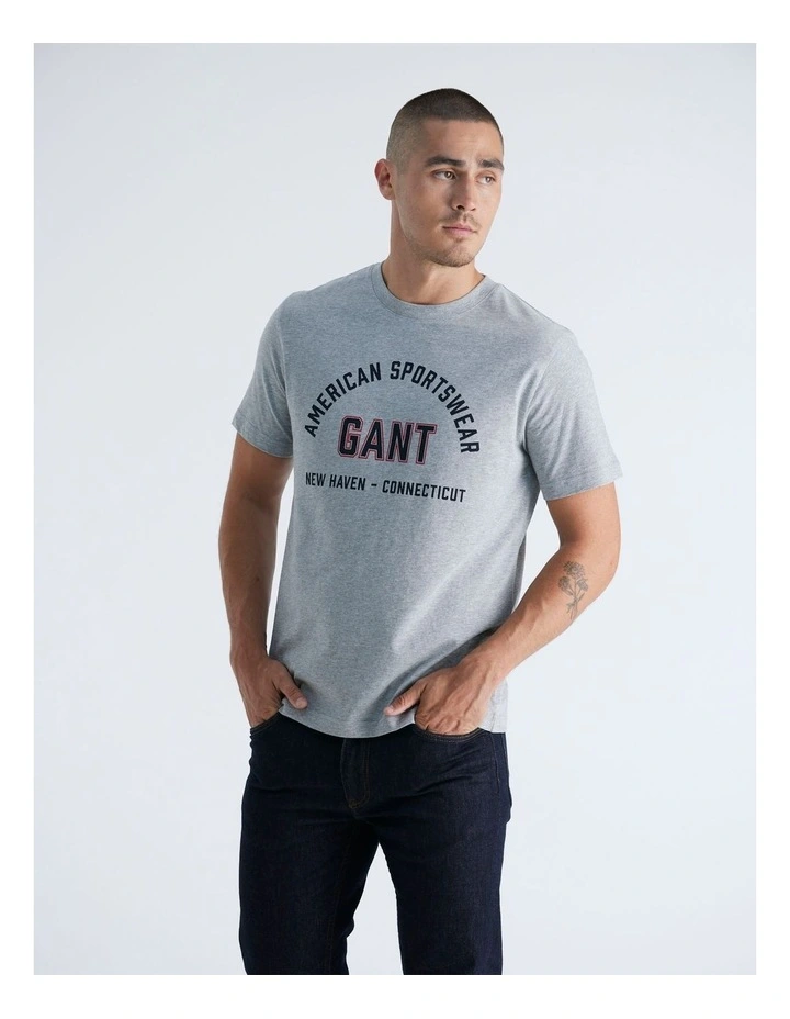 Printed Graphic T-Shirt in Grey Melange image 4