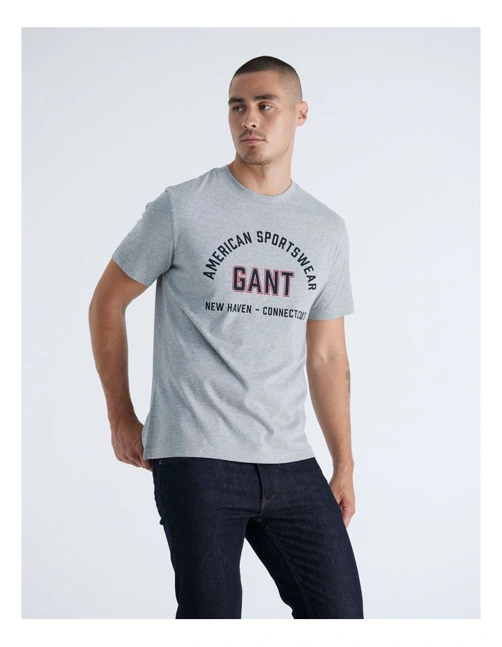 Printed Graphic T-Shirt in Grey Melange image 5