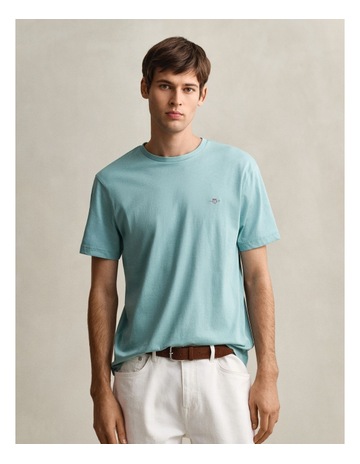 MUTED TURQUOISE colour
