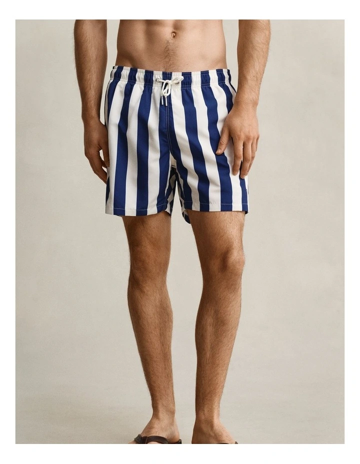 Block Striped Swim Shorts in Rich Navy image 1