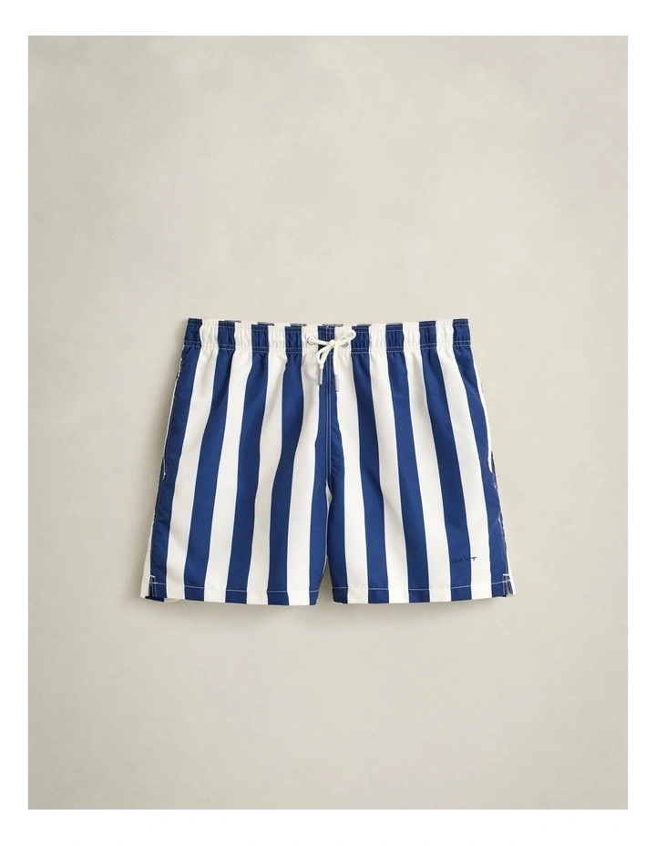 Block Striped Swim Shorts in Rich Navy image 5