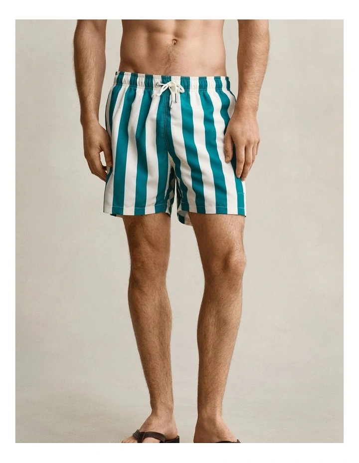 Block Striped Swim Shorts in Aqua Blue image 1