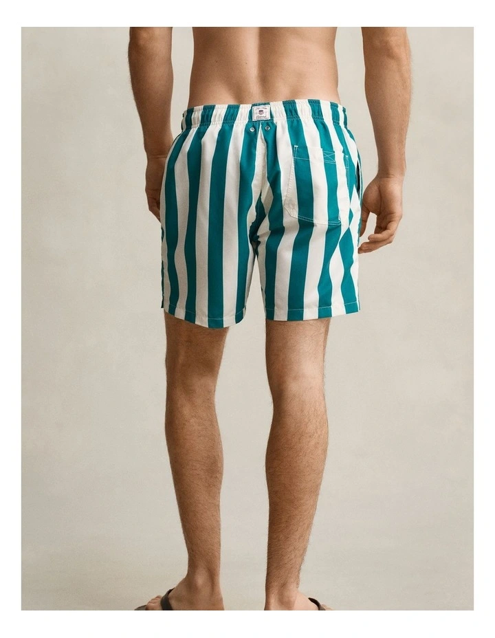 Block Striped Swim Shorts in Aqua Blue image 2