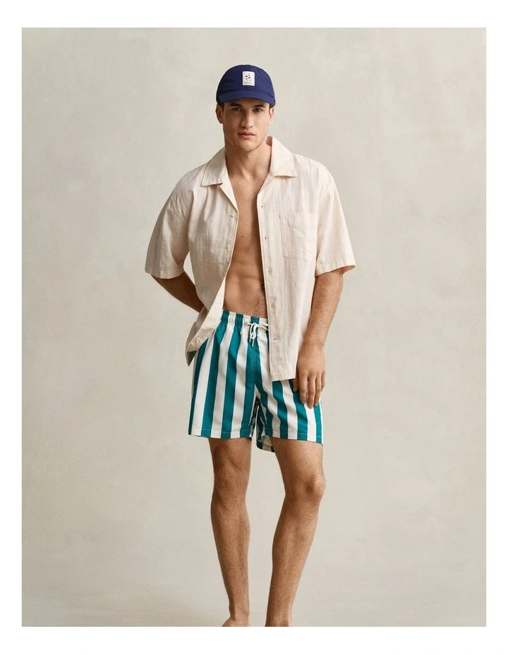 Block Striped Swim Shorts in Aqua Blue image 4