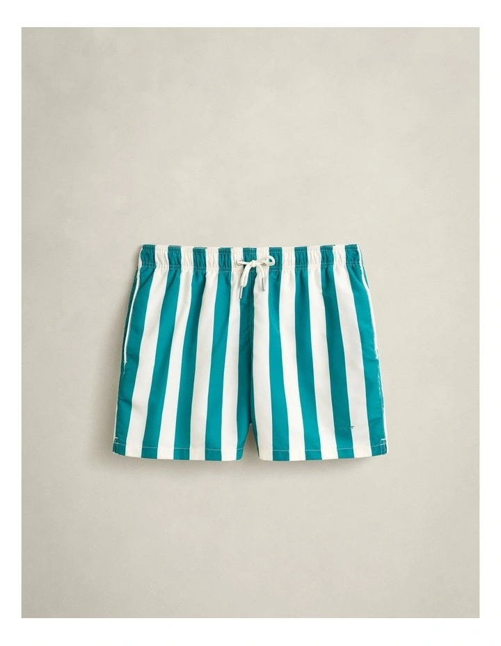 Block Striped Swim Shorts in Aqua Blue image 5