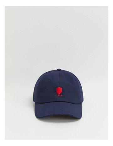 Navy colour