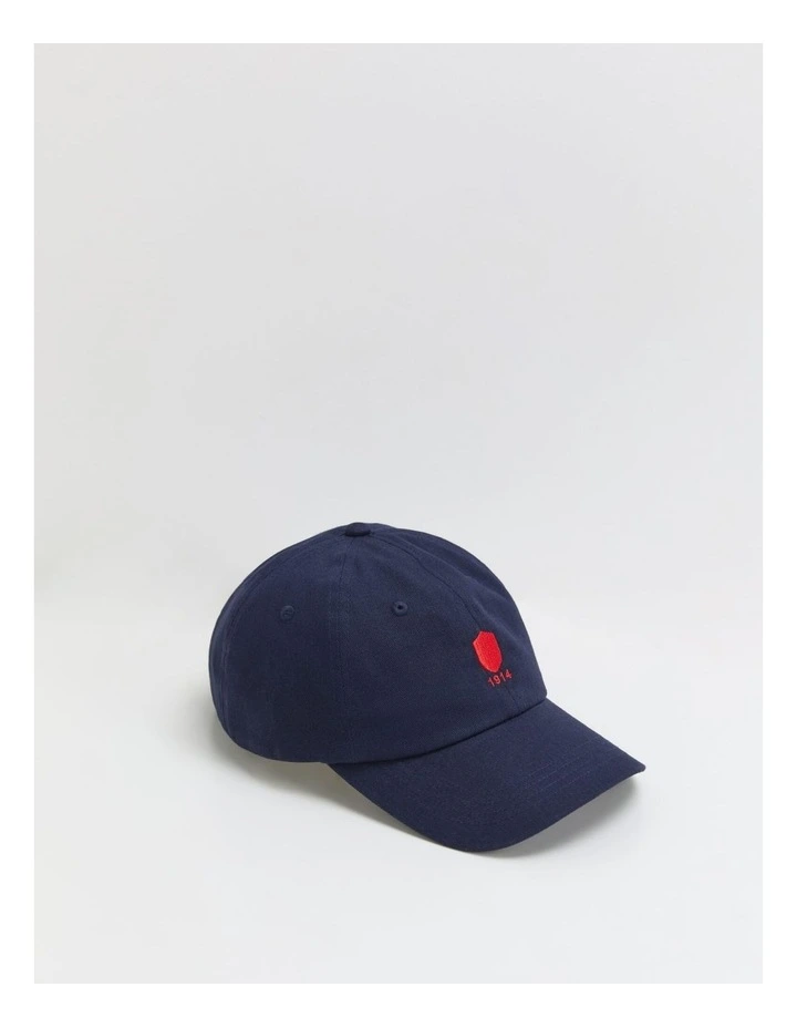 Cap in Blue image 2