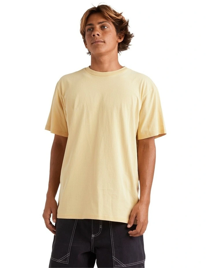 Salt Water Crew T-Shirt in Rattan image 1
