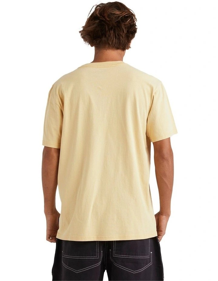 Salt Water Crew T-Shirt in Rattan image 2