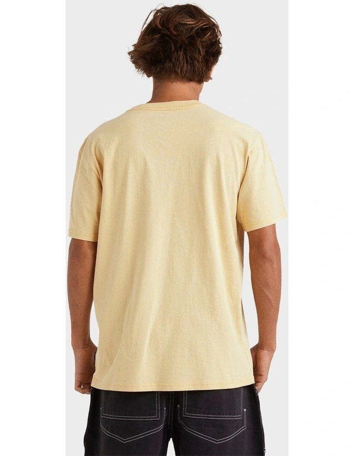 Salt Water Crew T-Shirt in Rattan image 2