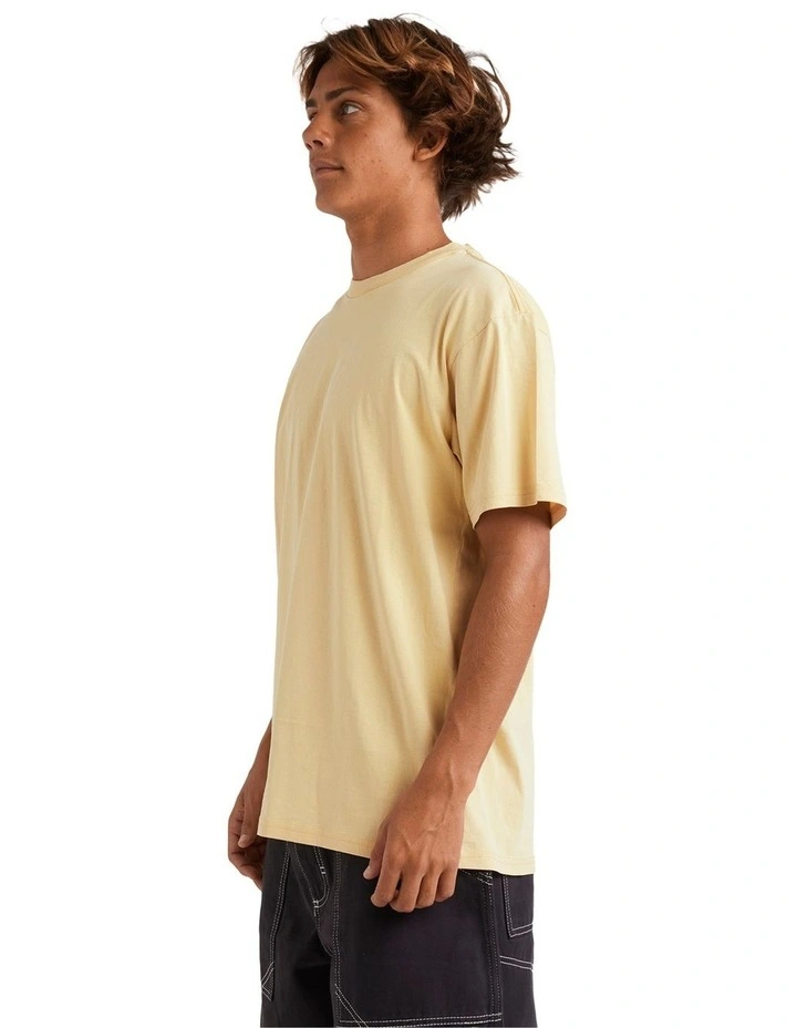 Salt Water Crew T-Shirt in Rattan image 3