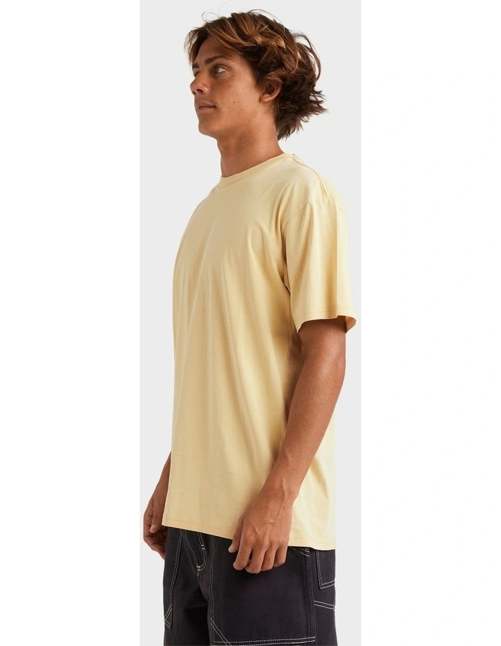 Salt Water Crew T-Shirt in Rattan image 3