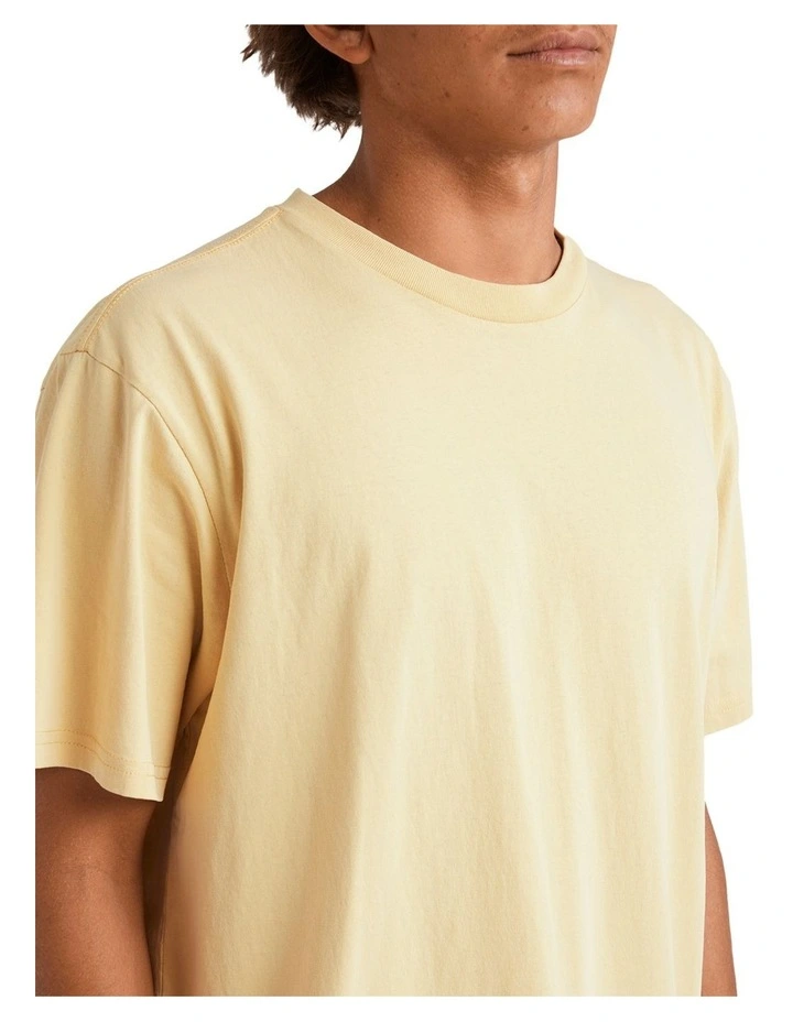 Salt Water Crew T-Shirt in Rattan image 4