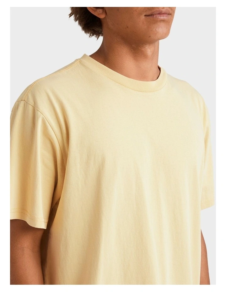 Salt Water Crew T-Shirt in Rattan image 4