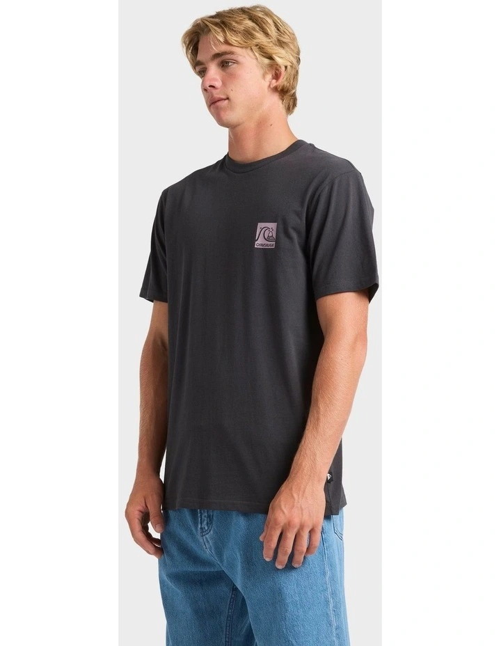 Original Box Logo T-Shirt in Brown image 3