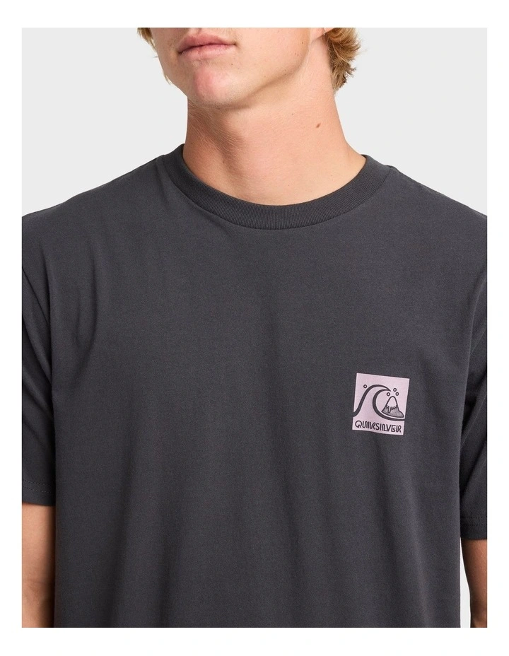 Original Box Logo T-Shirt in Brown image 4