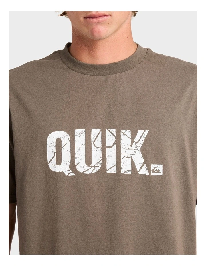 Basement T-Shirt in Assorted image 4