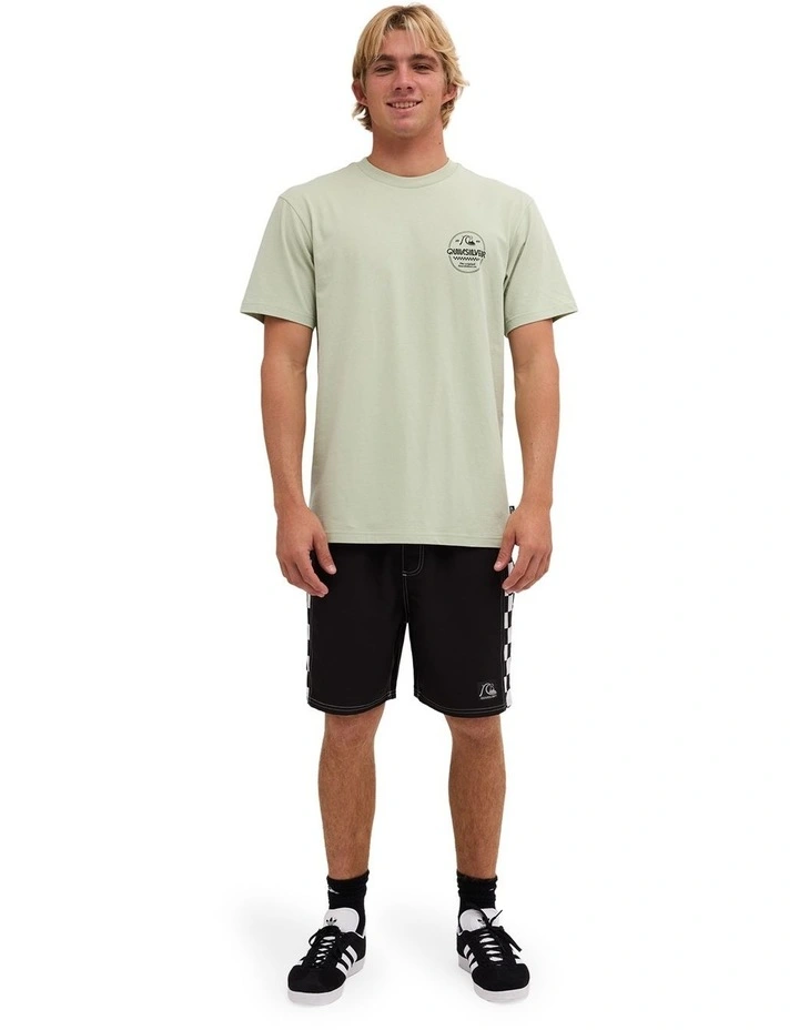 Original Stamp T-Shirt In Desert Sage image 5