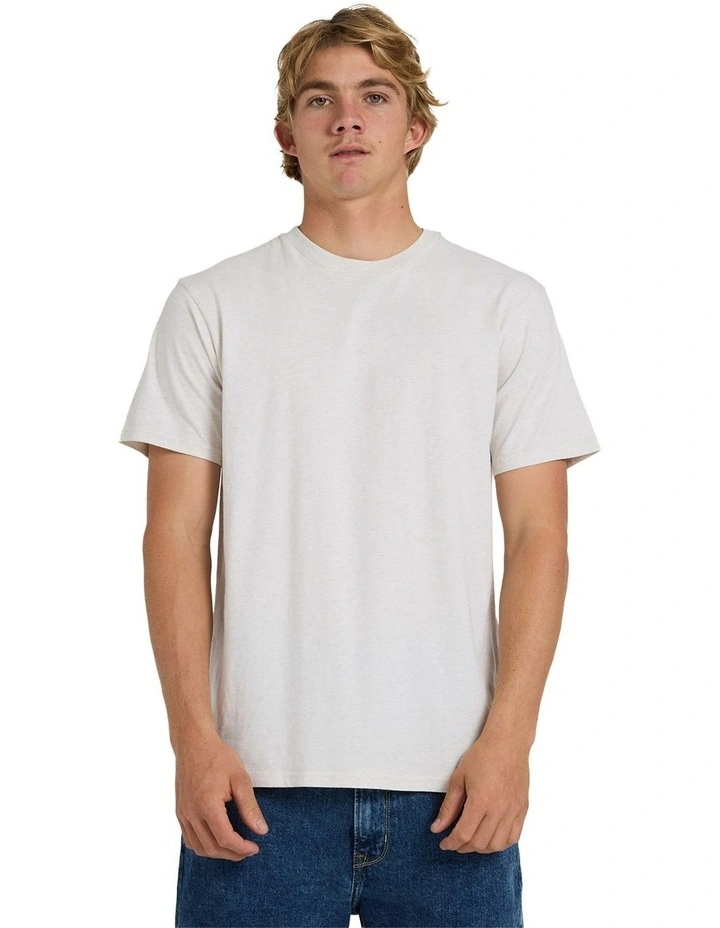 Salt Water Crew T-Shirt in Snow White Heather image 1