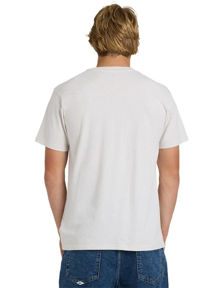 Salt Water Crew T-Shirt in Snow White Heather image 2