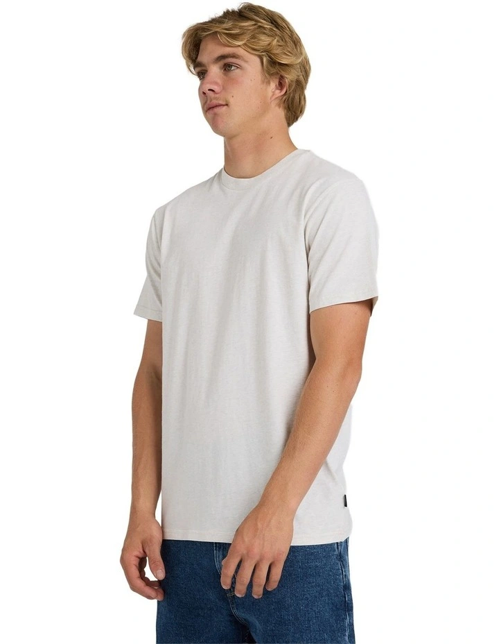 Salt Water Crew T-Shirt in Snow White Heather image 3