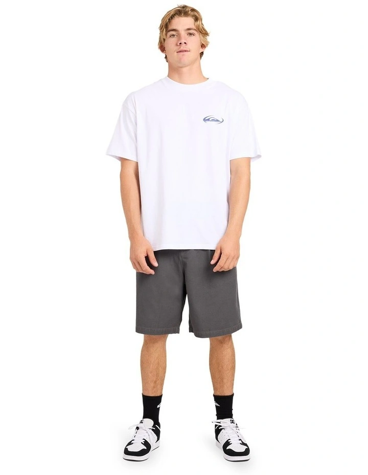 Momentum 22 Inch Walkshorts In Iron Gate image 4