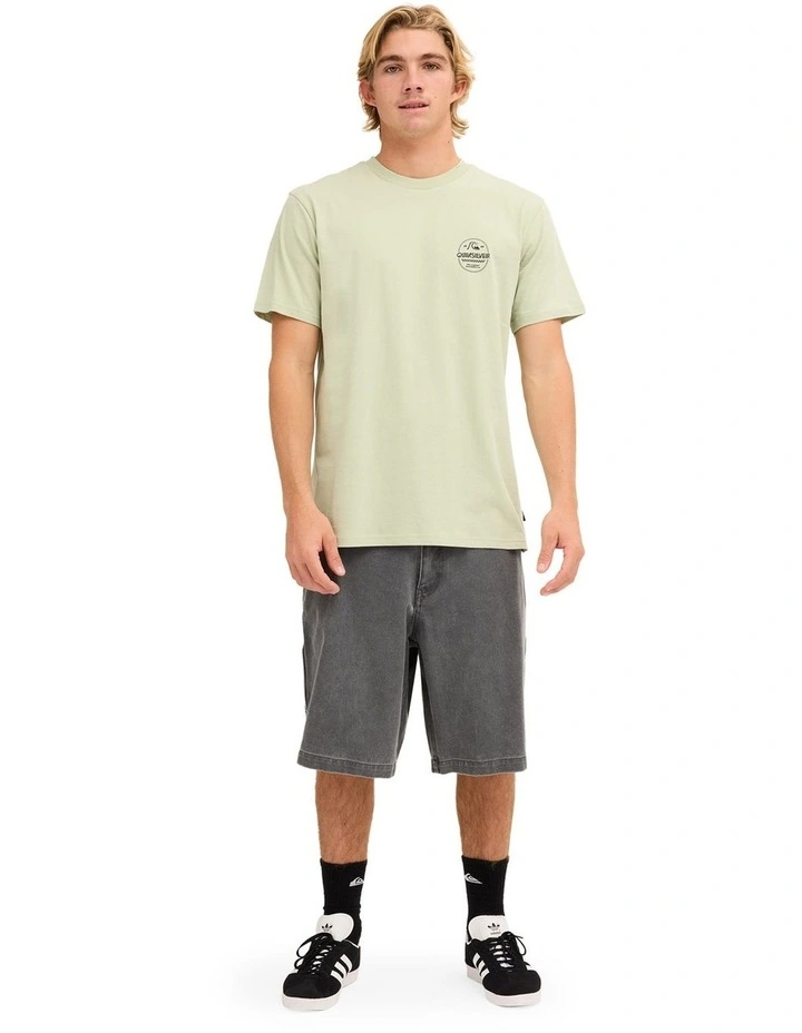 OG Oval T-Shirt In Desert Sage image 5