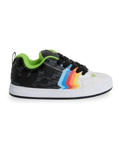 Court Graffik Skate Shoes Assorted