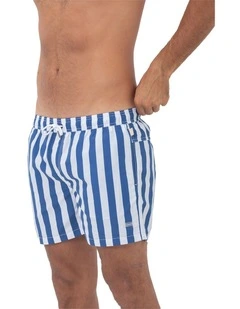 Santorini Mens Swim Shorts in Blue