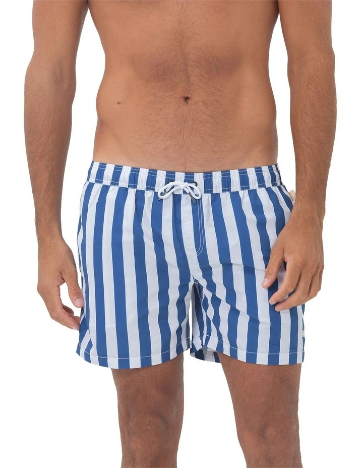 Santorini Mens Swim Shorts in Blue image 3