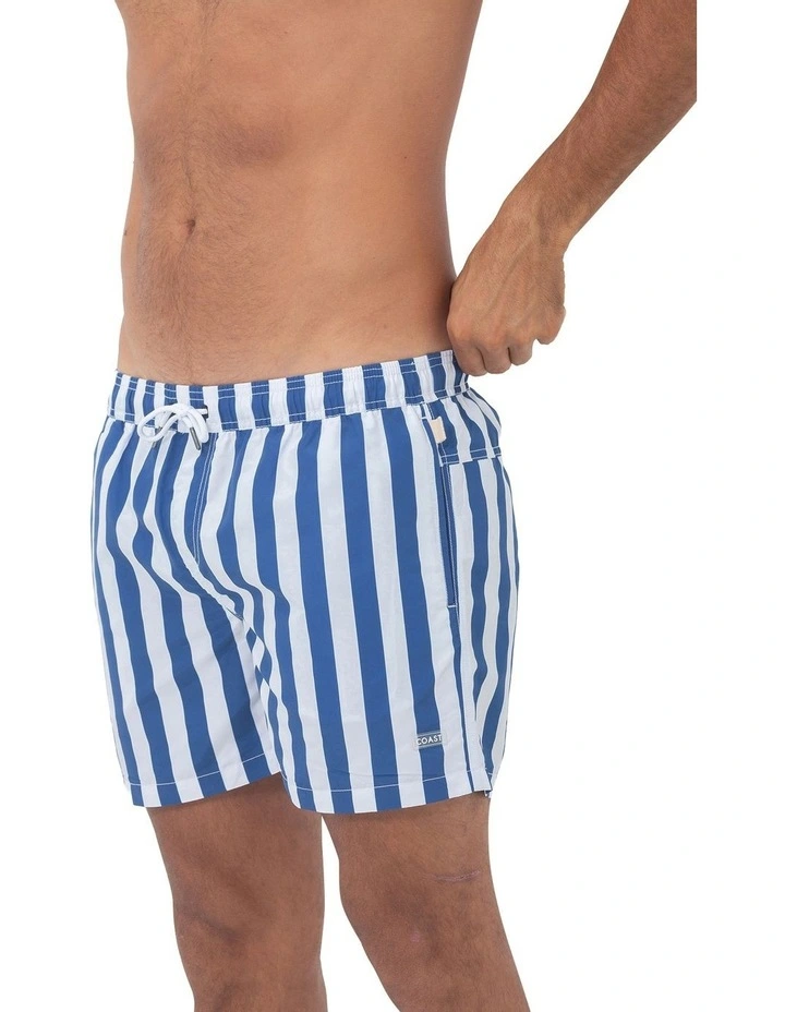 Santorini Mens Swim Shorts in Blue image 3