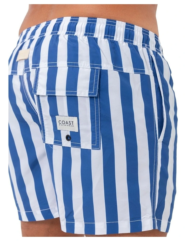 Santorini Mens Swim Shorts in Blue image 4