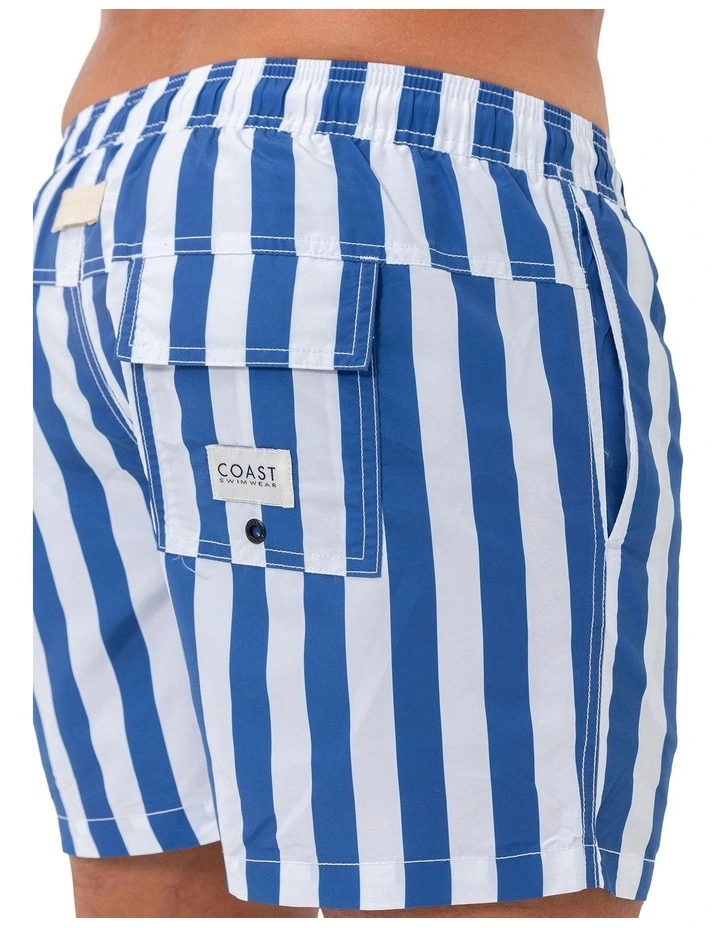 Santorini Mens Swim Shorts in Blue image 4