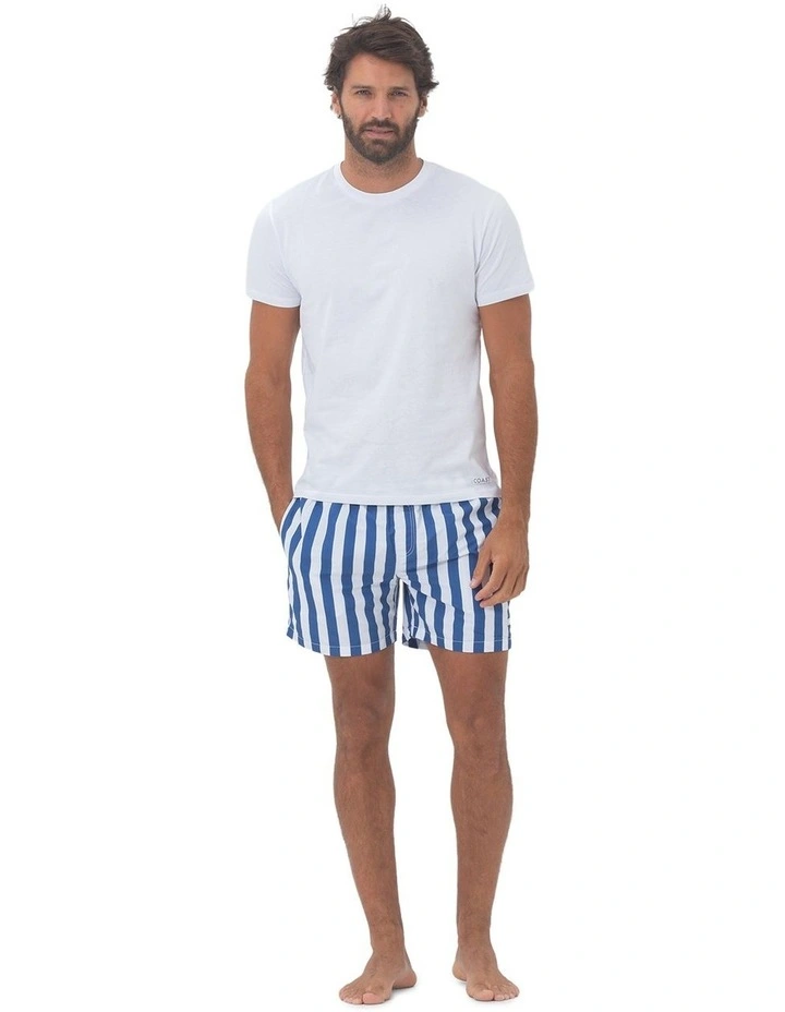 Santorini Mens Swim Shorts in Blue image 5