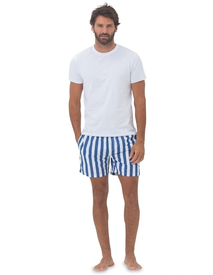 Santorini Mens Swim Shorts in Blue image 5