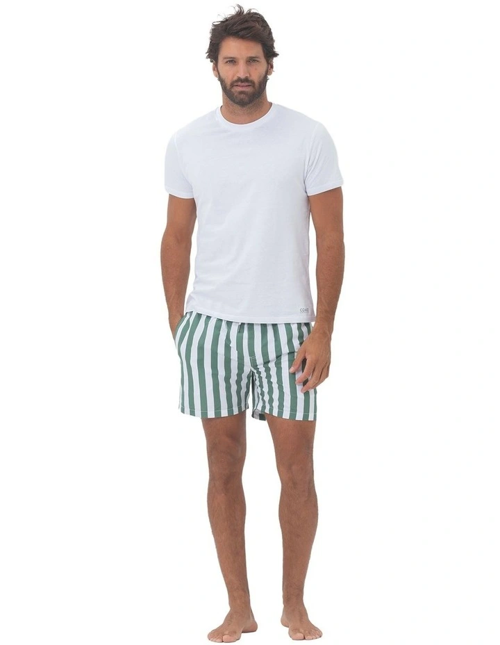 Madeira Swim Shorts in Green image 5