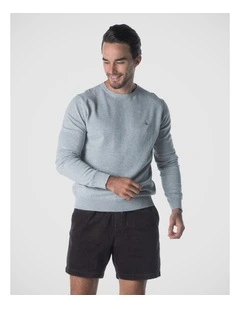 Crew Neck Jumper in Grey