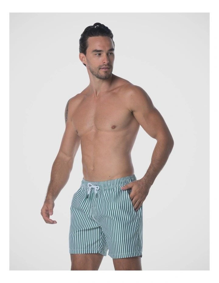 Harbour Shorts - Green image 3