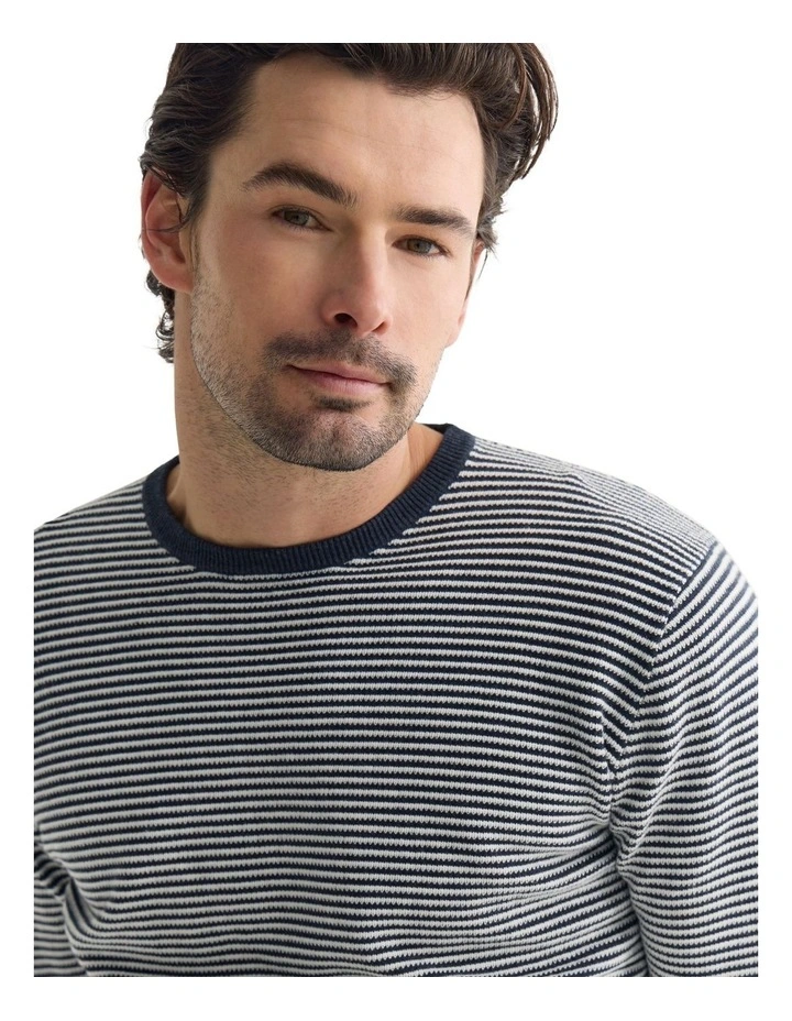 Liam Stripe Crew Neck in Blue Stripe image 4