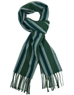 Colton Stripe Wool Scarf in Green