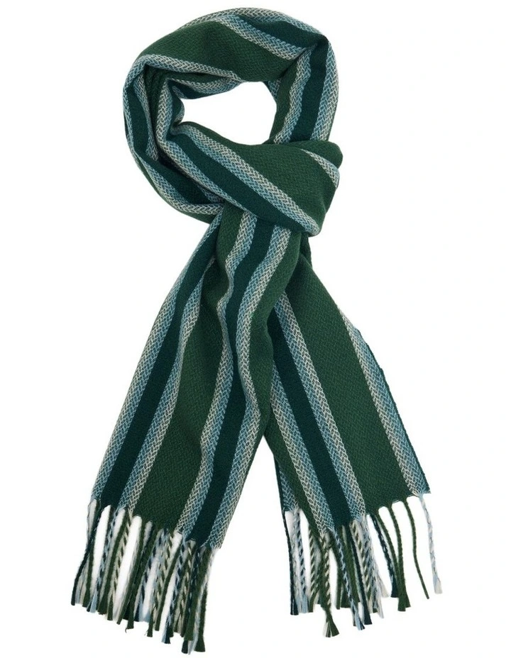 Colton Stripe Wool Scarf in Green image 1