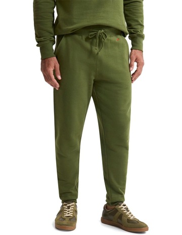 Dark Olive colour