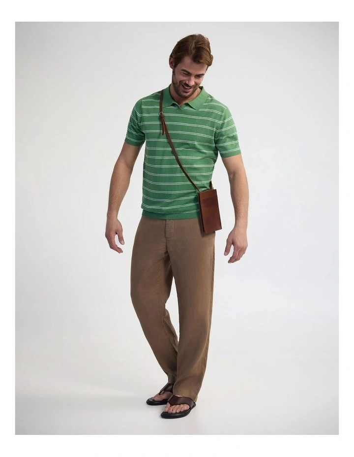 Basey Linen Blend Striped Polo in Green image 5